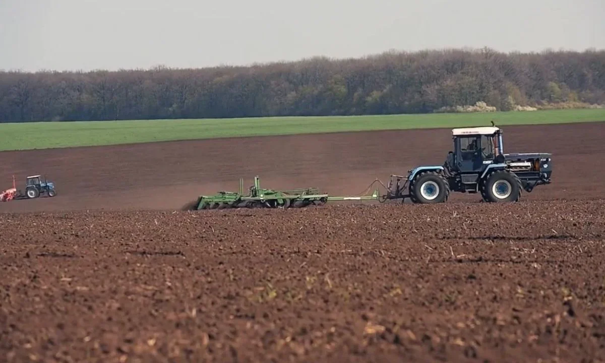 La cal se ha consolidado como un aliado de la agricultura, contribuye a mejorar la fertilidad de los suelos y aumentar la productividad.