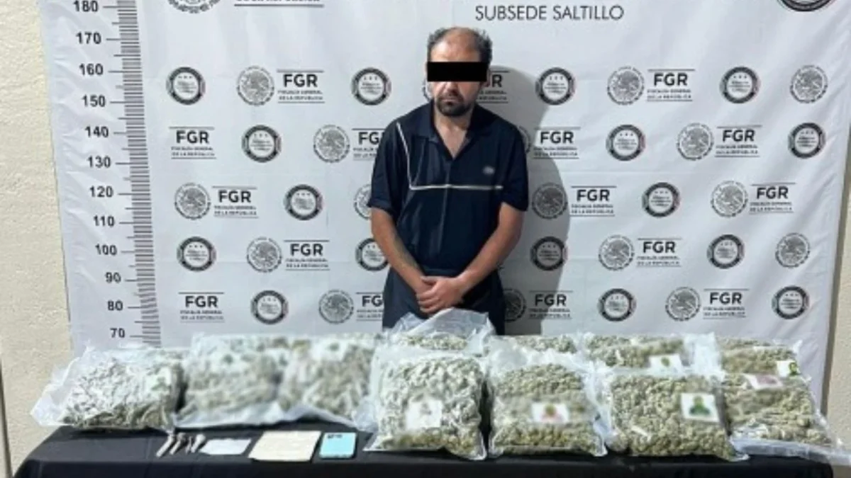 Fuerzas federales aseguraron 761 kg de marihuana que eran transportados en un camión de carga y detuvieron a una persona en Coahuila.