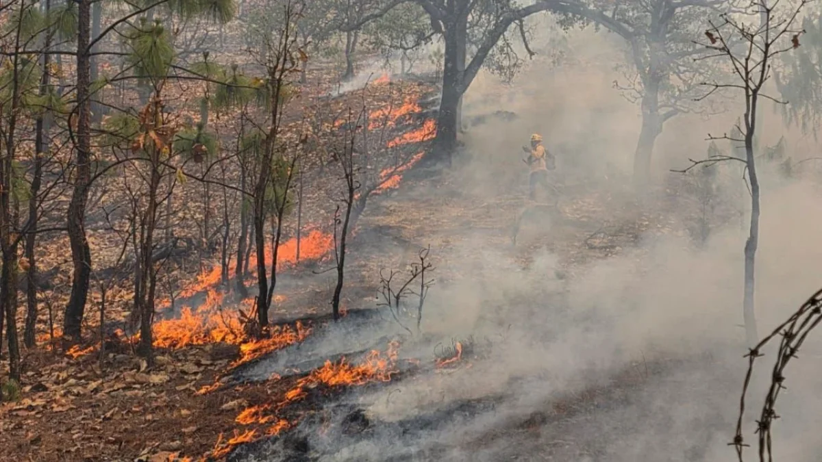 La crisis por incendios forestales alcanzó a 15 entidades con 36 siniestros activos, informó la Conafor, representa un aumento de 200%.
