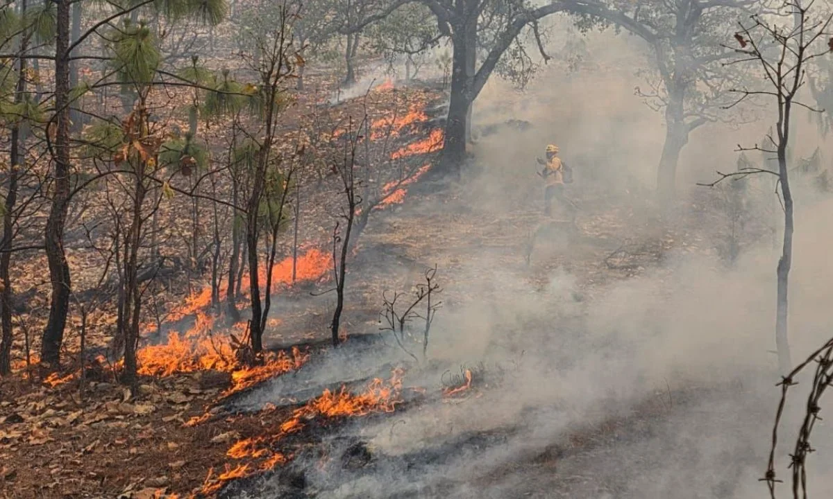 La crisis por incendios forestales alcanzó a 15 entidades con 36 siniestros activos, informó la Conafor, representa un aumento de 200%.
