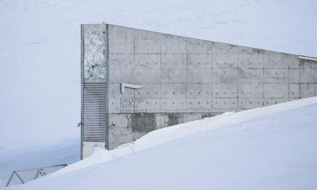 La bóveda global de semillas de Svalbard, considerada como el 'Arca de Noé vegetal', recibirá el Premio Princesa de Asturias.