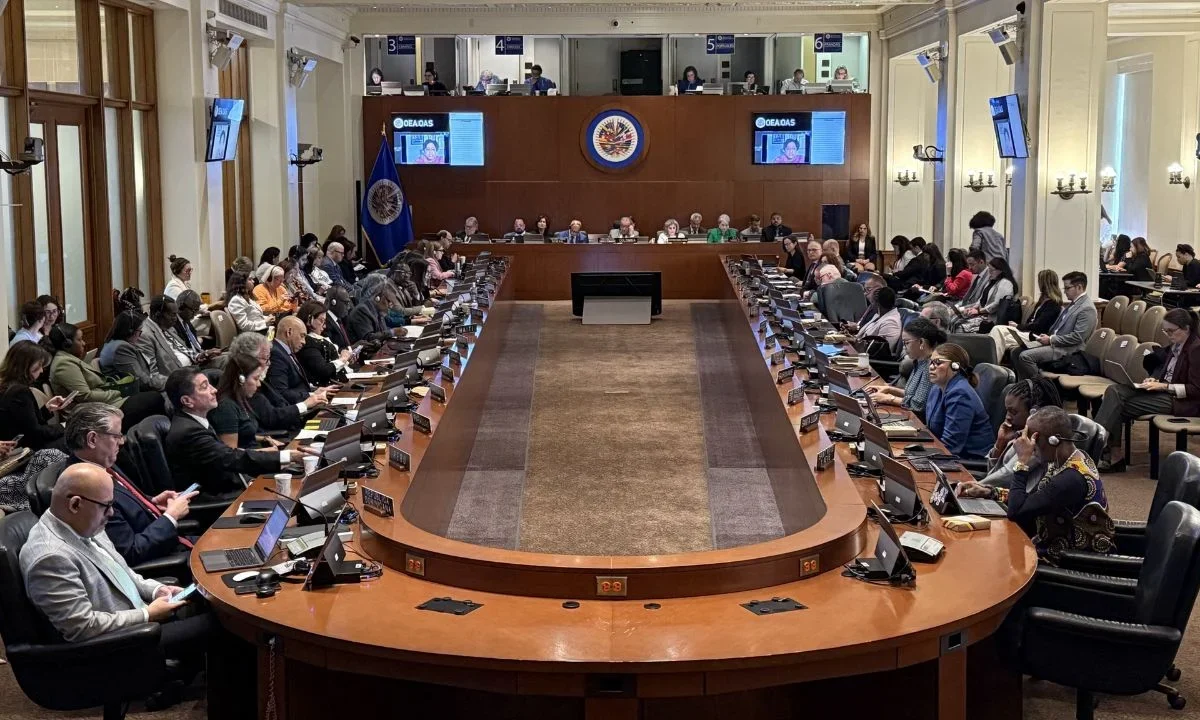Carlos Bernal Pulido, integrante CIDH, advirtió sobre el endurecimiento de los criterios internacionales contra empresas ligadas a abusos