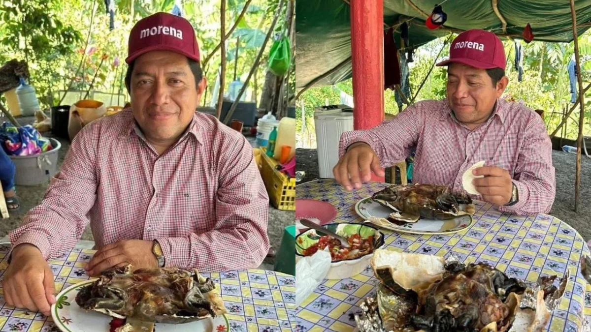 Antonio Silván Peralta, dirigente de Morena en Macuspana, presumió que comió tortuga ‘guao’, una especie protegida en México.