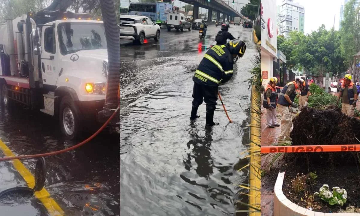 Este martes 19 de mayo, la CDMX presenta diversas afectaciones por lluvias fuertes, entre los que destacan caída de árboles, encharcamientos e inundaciones.