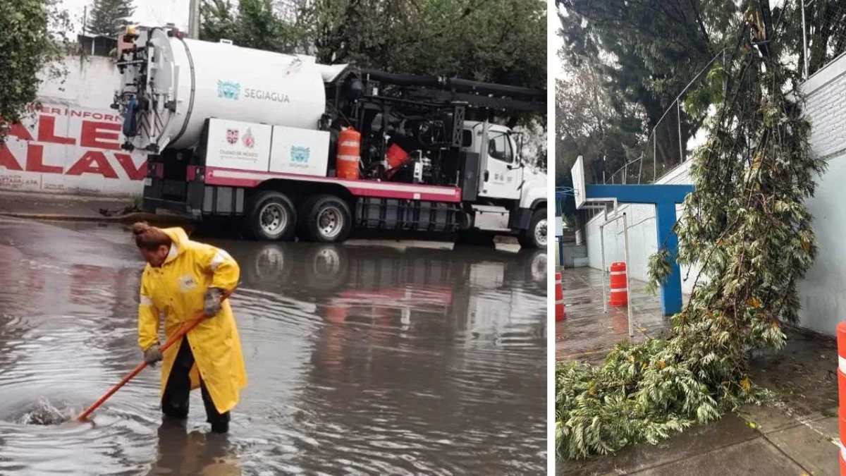 Lluvia deja 18 árboles caídos, 10 encharcamientos y 5 cortocircuitos en la CDMX.