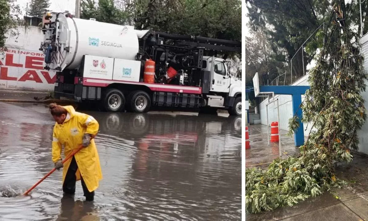 Lluvia deja 18 árboles caídos, 10 encharcamientos y 5 cortocircuitos en la CDMX.