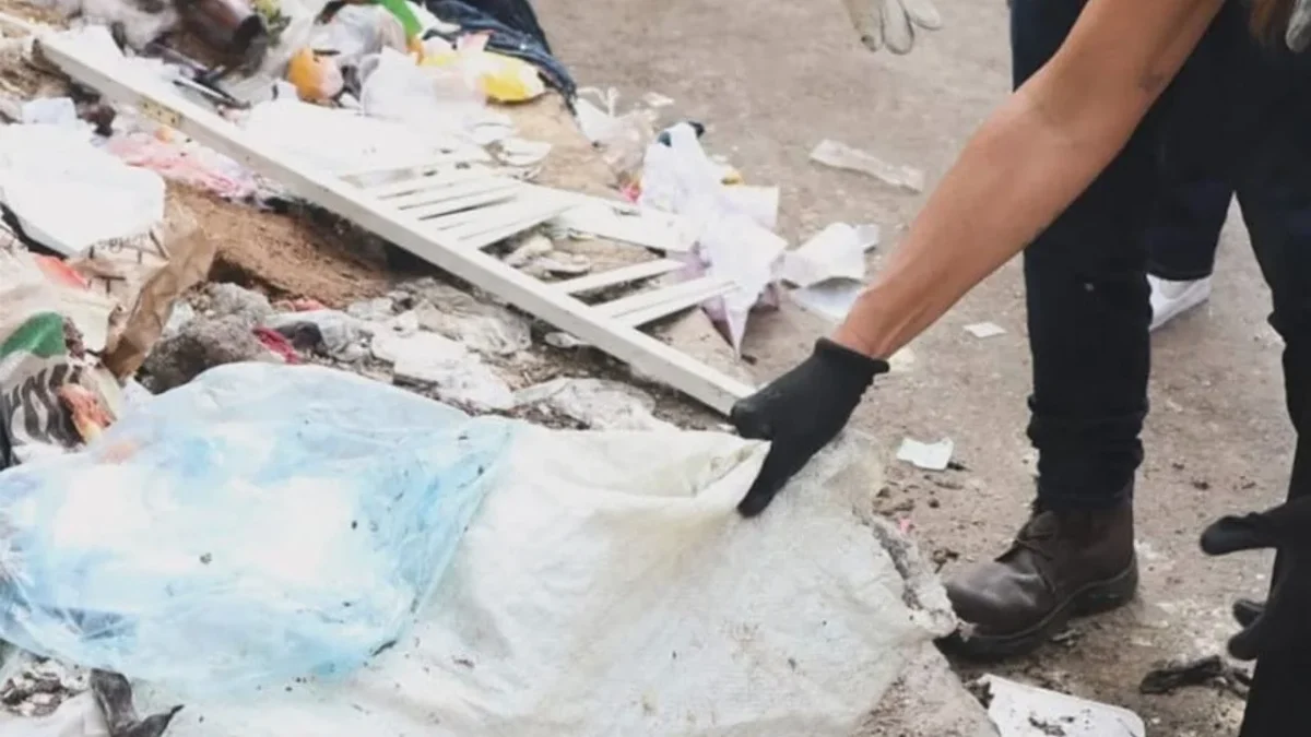 En una semana más de 11 mil toneladas de desperdicios se recolectaron por la Dirección General de Servicios Urbanos de la alcaldía Cuauhtémoc.