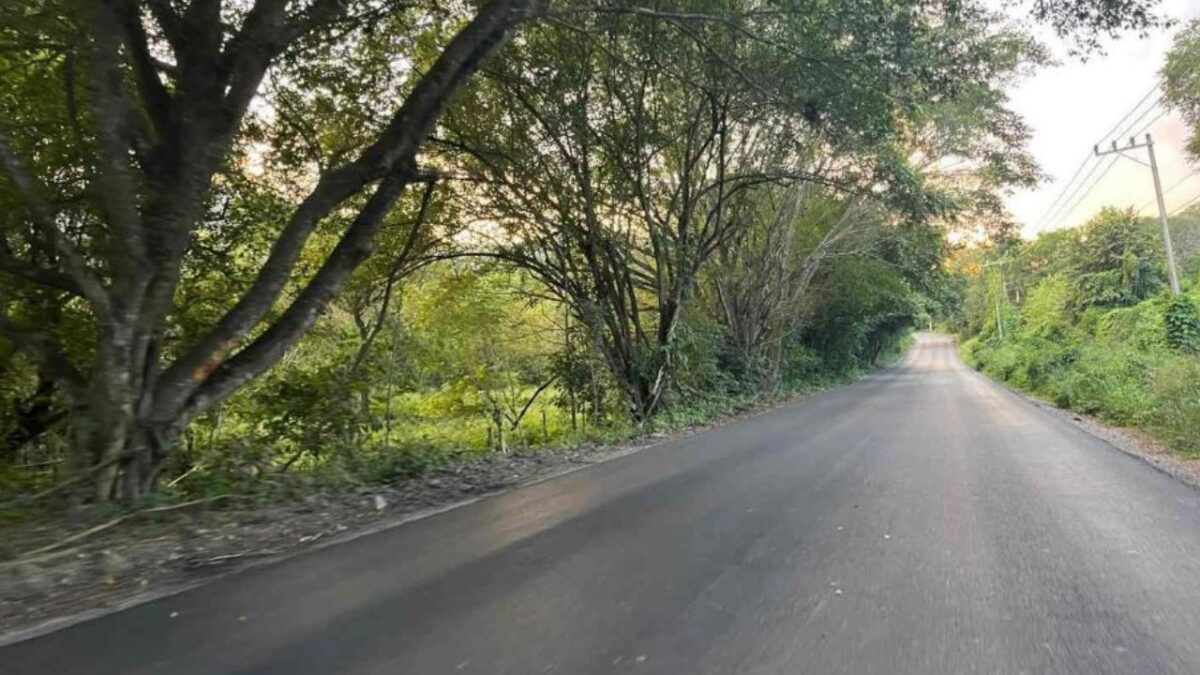 Avanza de manera significativa la obra en Eje Xolol-Tamuín en el tramo que conecta a Tancanhuitz con Tampamolón, en San Luis Potosí.