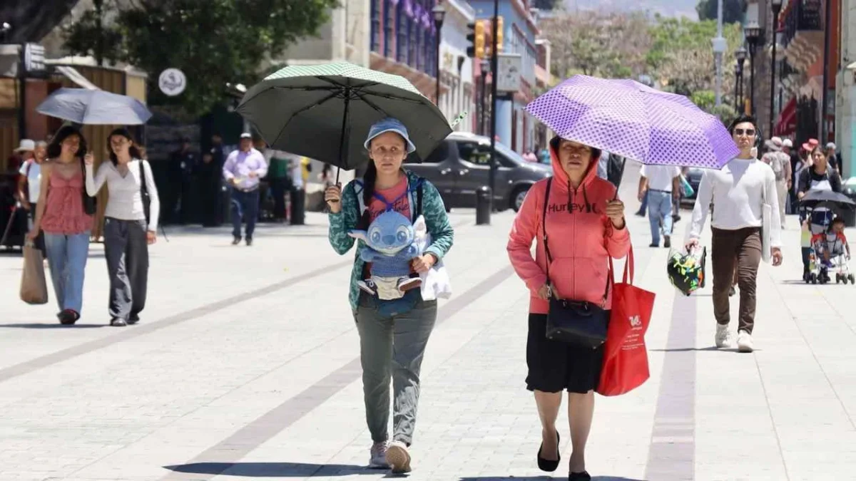 RIESGO. Se recomienda vigilancia especial para prevenir golpes de calor.