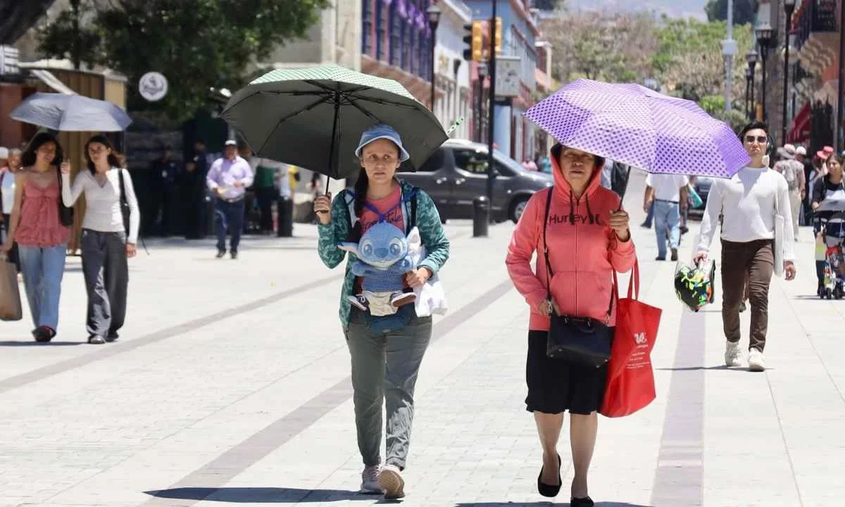 RIESGO. Se recomienda vigilancia especial para prevenir golpes de calor.