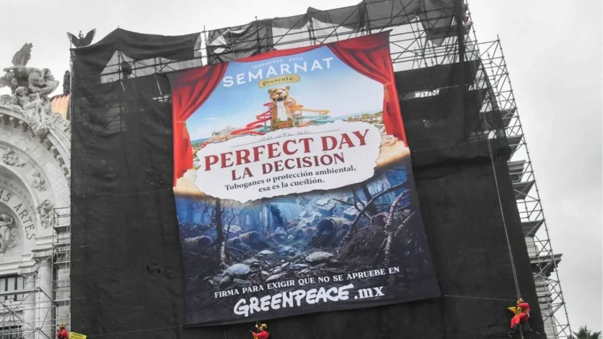 El PAN celebró el freno impuesto por la Semarnat a la degradación al medio ambiente en Quintana Roo, deteniendo el proyecto 'Perfect Day'.