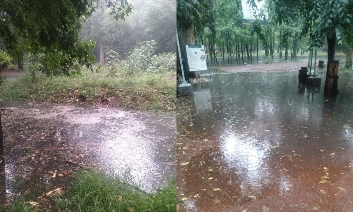 Debido a las recientes lluvias, la Semarnat informó que cerró el acceso al Parque Viveros Coyoacán por crecida del Río Magdalena.