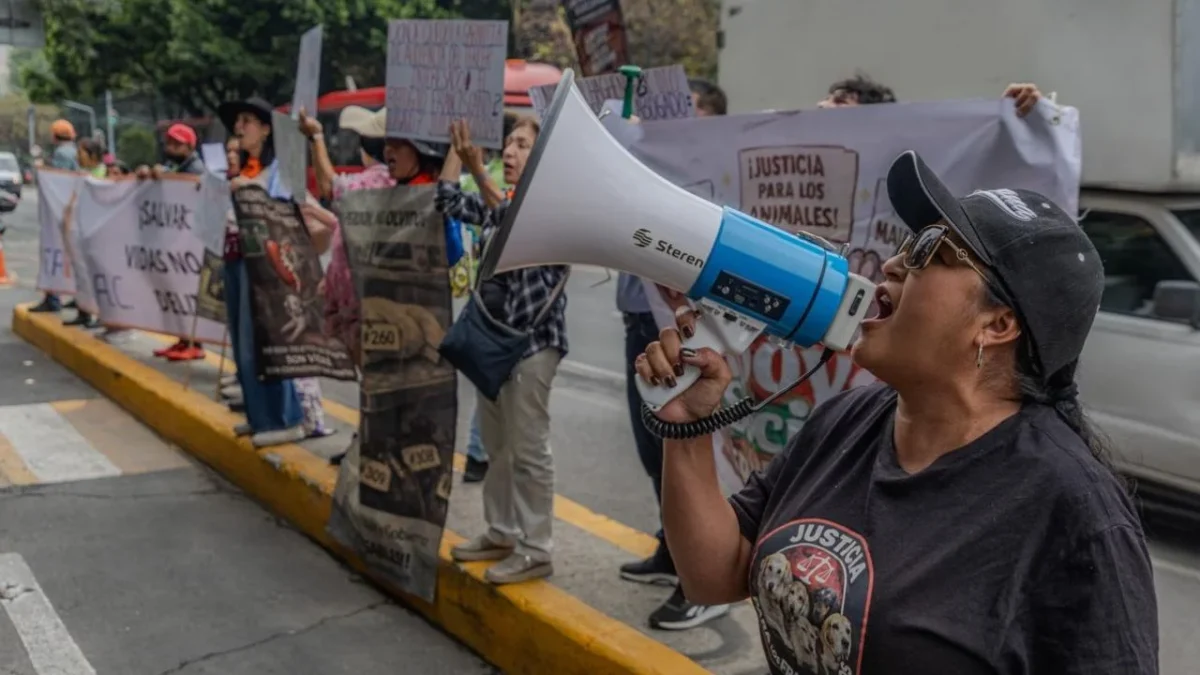 Activistas y representantes del Refugio Franciscano se manifestaron al exterior del Séptimo Juzgado de Distrito Penal.