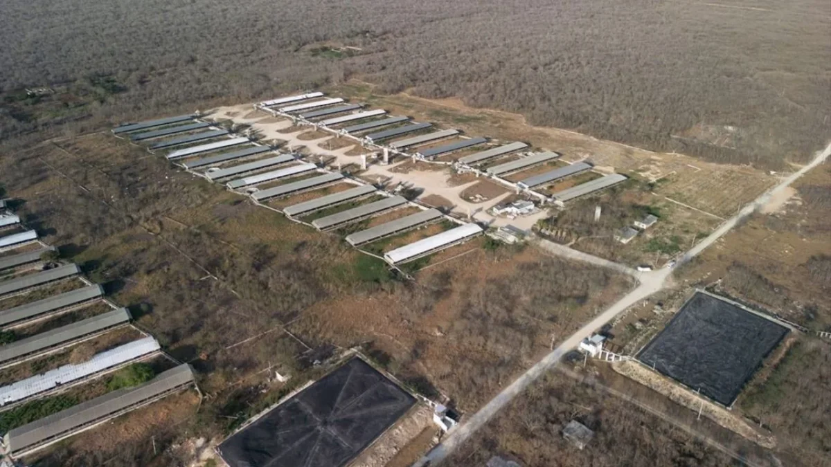 La comisaría de Santa María Chí insiste en que salida de granja porcícola no significa el fin del problema ambiental.