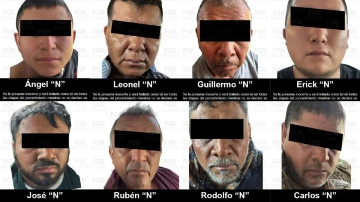 Entre los procesados se encuentra el líder principal de 'Los Linos', Rodolfo Adame Sotelo, alias 'Don Ramón' y siete colaboradores más.