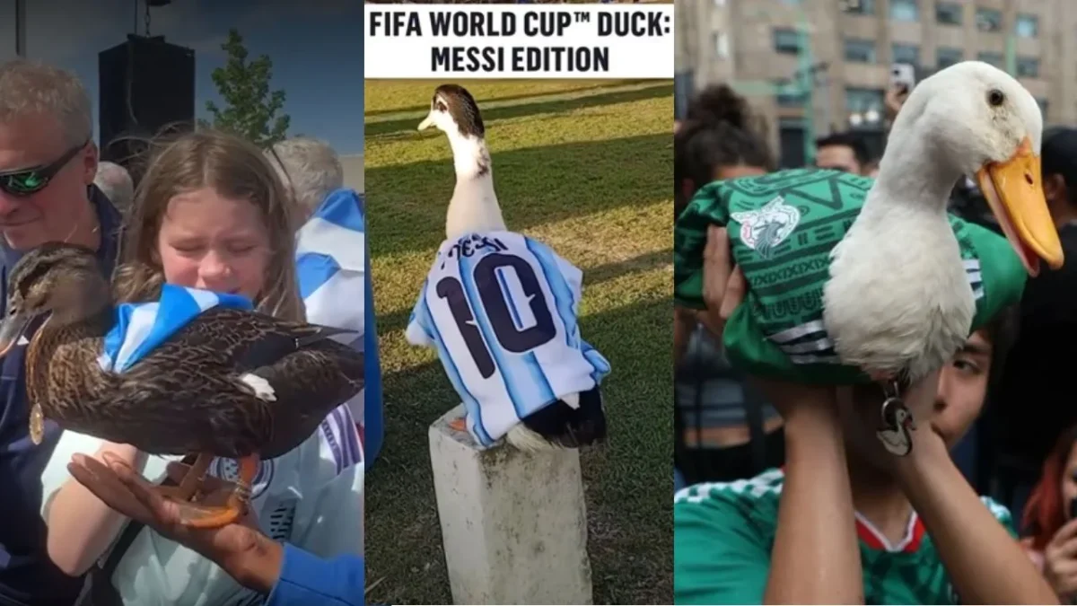 El Pato Merlín extiende su 'multiverso' y aparecen otros patos mundialistas