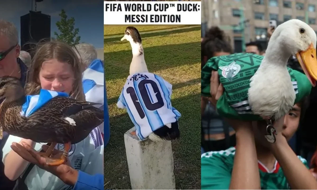 El Pato Merlín extiende su 'multiverso' y aparecen otros patos mundialistas