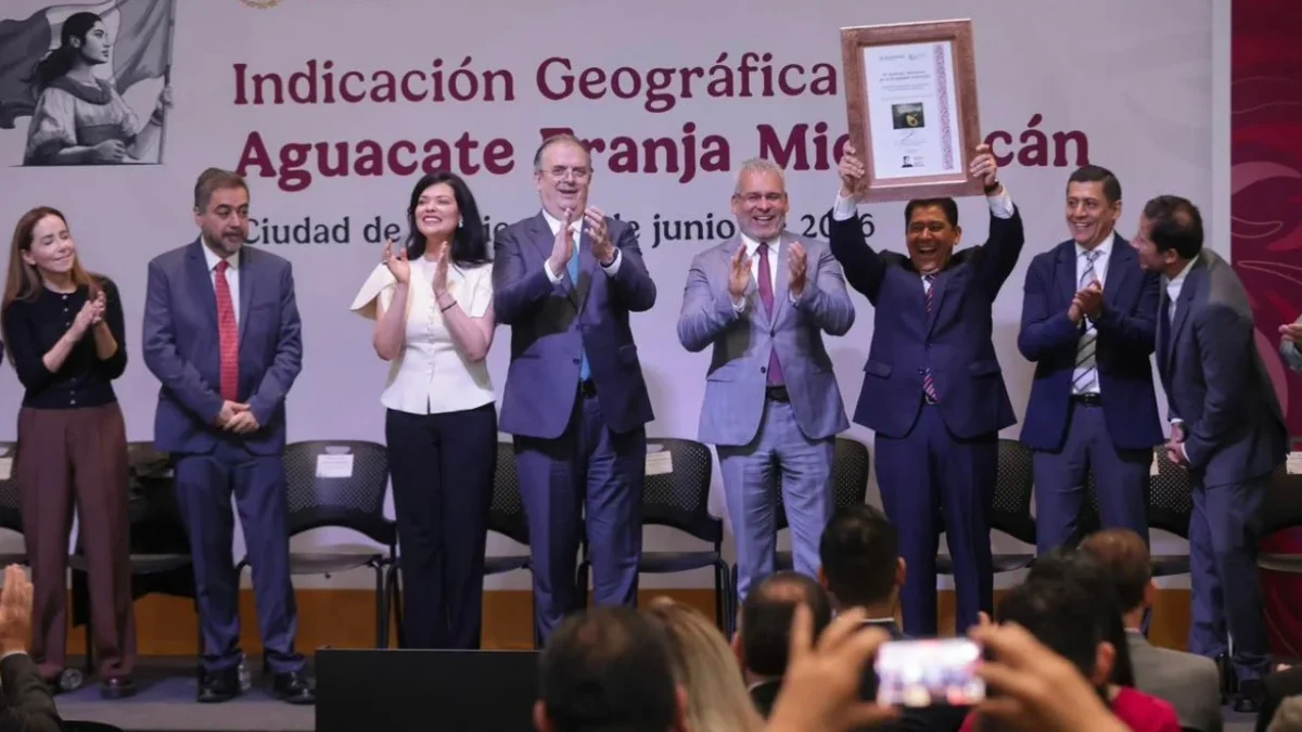 El IMPI otorgó la declaración de Indicación Geográfica (IG) Aguacate Franja Michoacán este martes 23 de junio de 2026.
