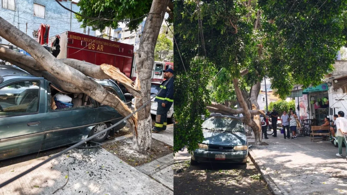 La alcaldesa Alessandra Rojo de la Vega implementó en la Alcaldía Cuauhtémoc una unidad contra daños materiales en temporada de lluvias.