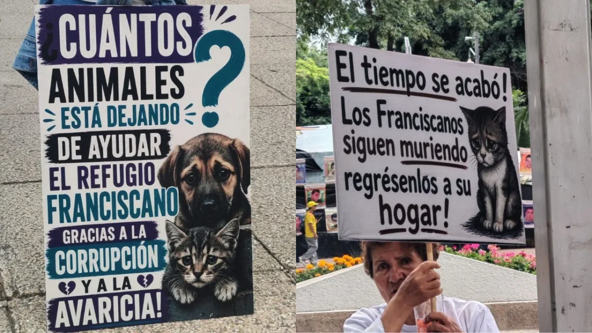 Miembros de la Asociación Civil del Refugio Franciscano se manifestaron en Reforma donde exigieron la devolución de los animales.