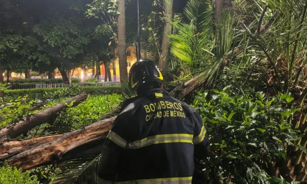 Bomberos capitalinos atendieron la caída de 93 árboles y cinco postes; así como 10 encharcamientos y nueve cortocircuitos por lluvia en CDMX.