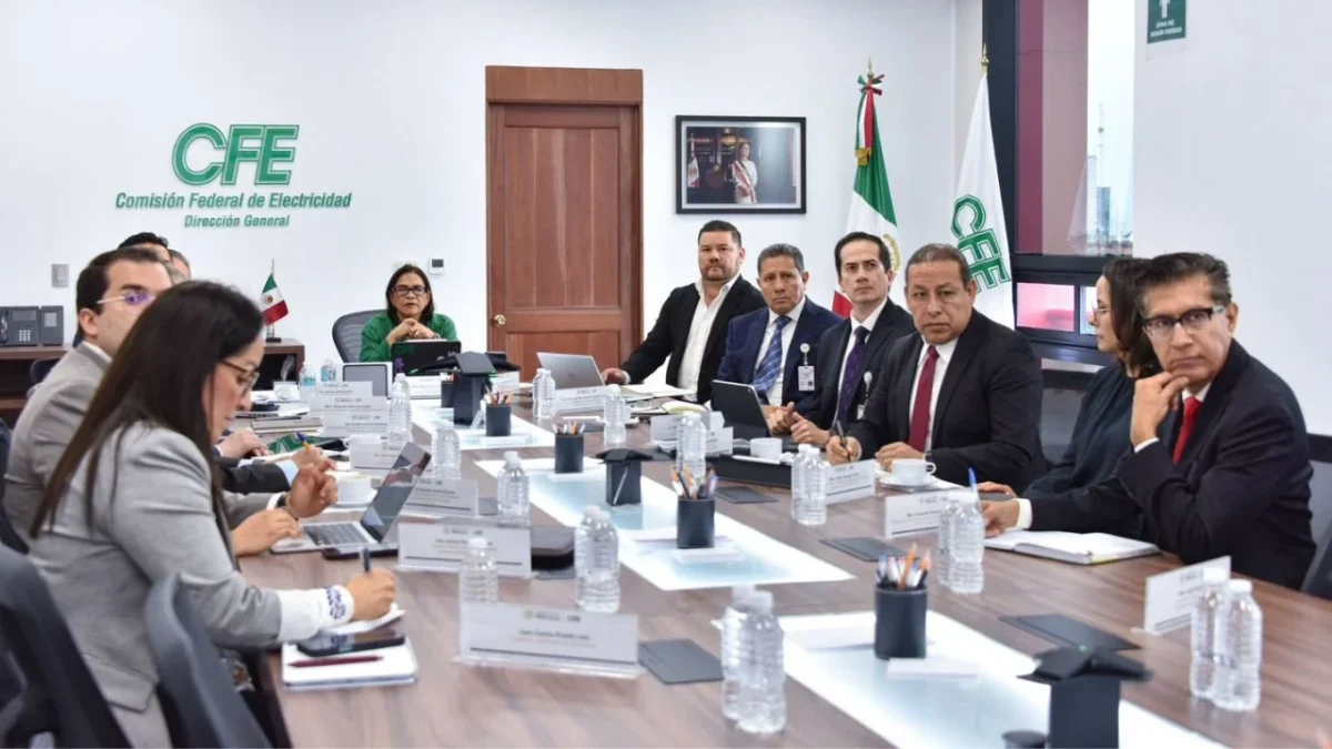 La CFE realizó una mesa nacional de trabajo con representantes de 29 entidades federativas, para mejorar el servicio eléctrico.