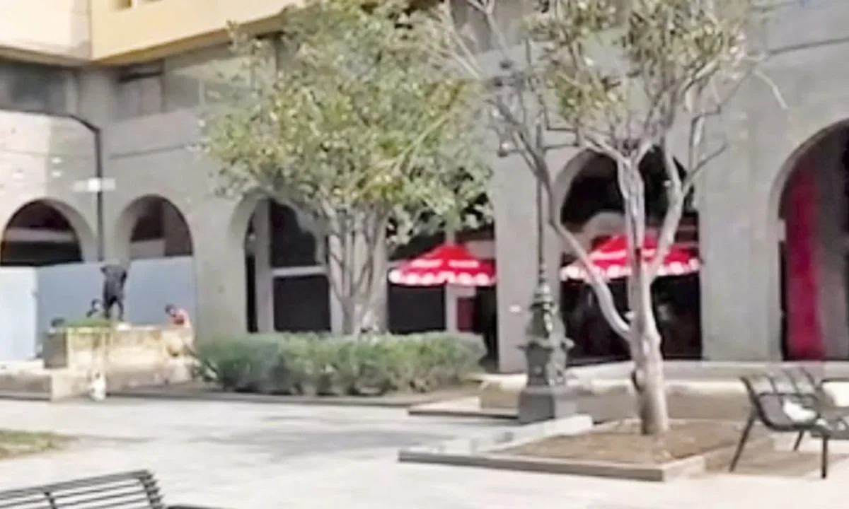 Instalación de vallas metálicas por el montaje del Fan Fest frente a diversos comercios del Centro Histórico de Guadalajara desató reclamos.