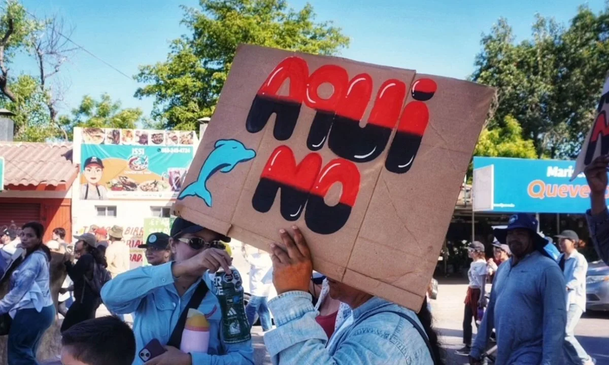 La empresa Proman GPO confirmó que manifestantes realizaron un nuevo bloqueo en la planta de amoniaco en Topolobampo.