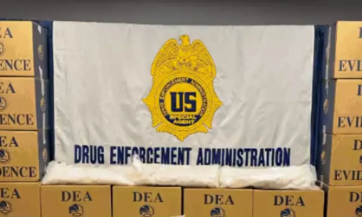 La DEA designó al Cártel de Sinaloa y al CJNG como sus objetivos prioritarios en el combate al tráfico de fentanilo.