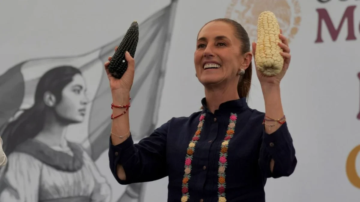 Sheinbaum señaló que el maíz nativo lo compra Alimentación para el Bienestar a un precio justo estimado en 7 mil 200 pesos por tonelada.