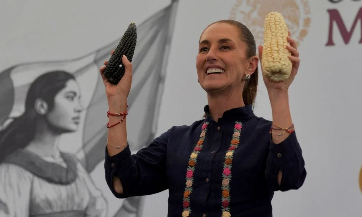 Sheinbaum señaló que el maíz nativo lo compra Alimentación para el Bienestar a un precio justo estimado en 7 mil 200 pesos por tonelada.