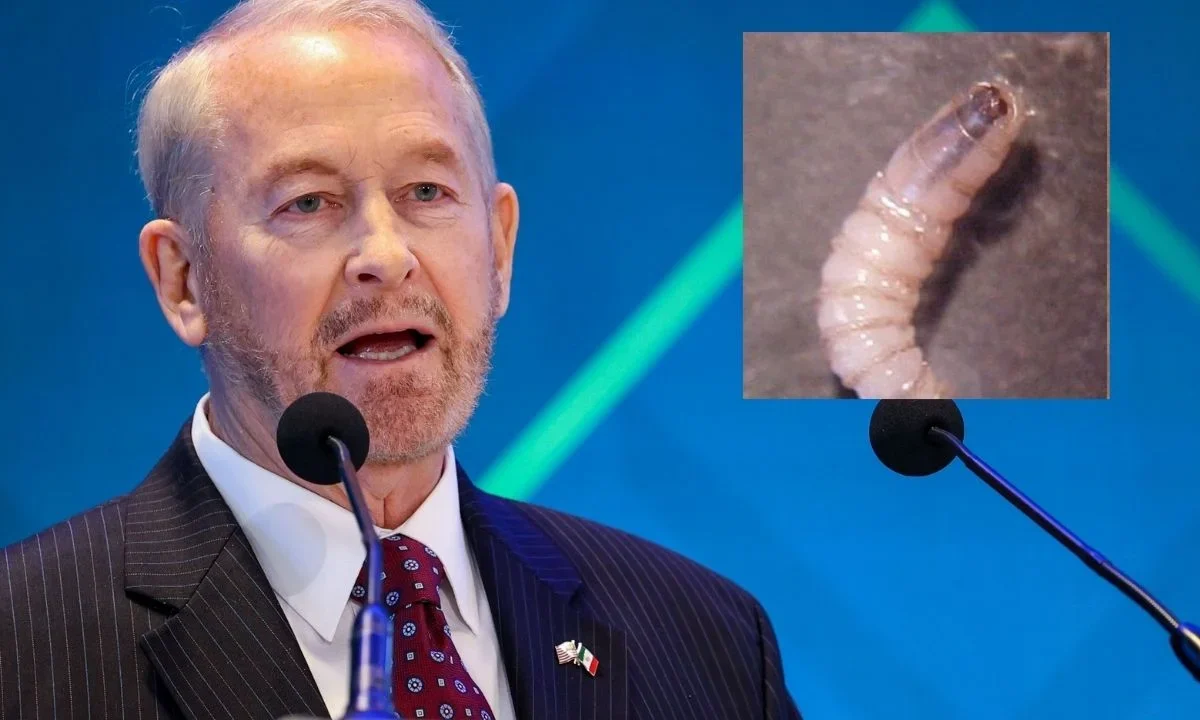Ronald Johnson anuncia 84 mdd de EU para México contra el gusano barrenador