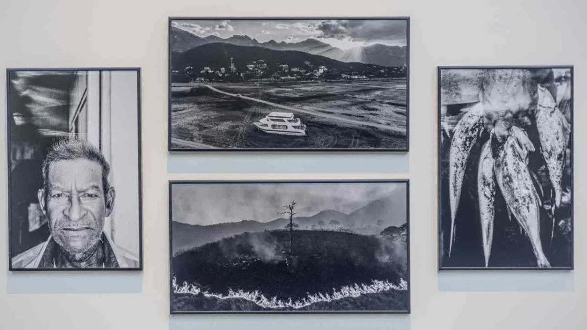 Exhibirán la World Press Photo y El Archivo en el Museo Franz Mayer.