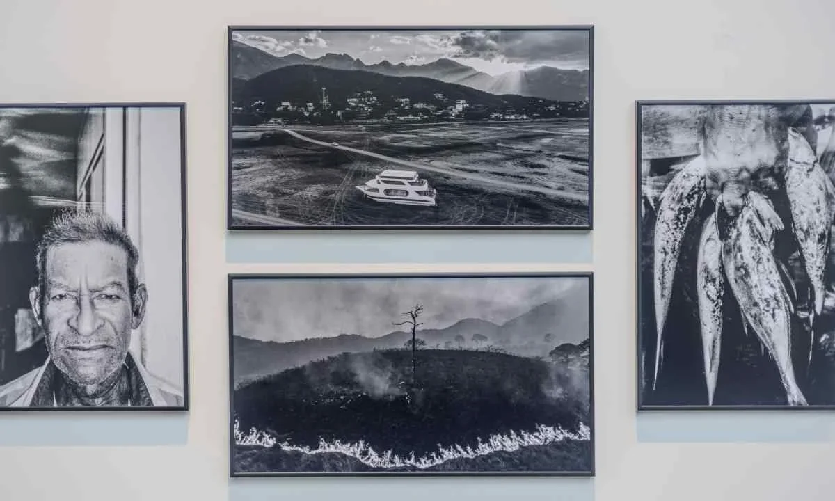 Exhibirán la World Press Photo y El Archivo en el Museo Franz Mayer.