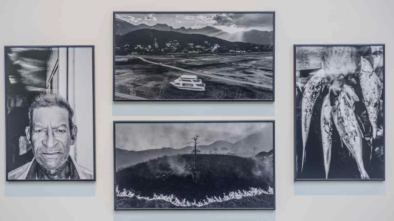 Exhibirán la World Press Photo y El Archivo en el Museo Franz Mayer
