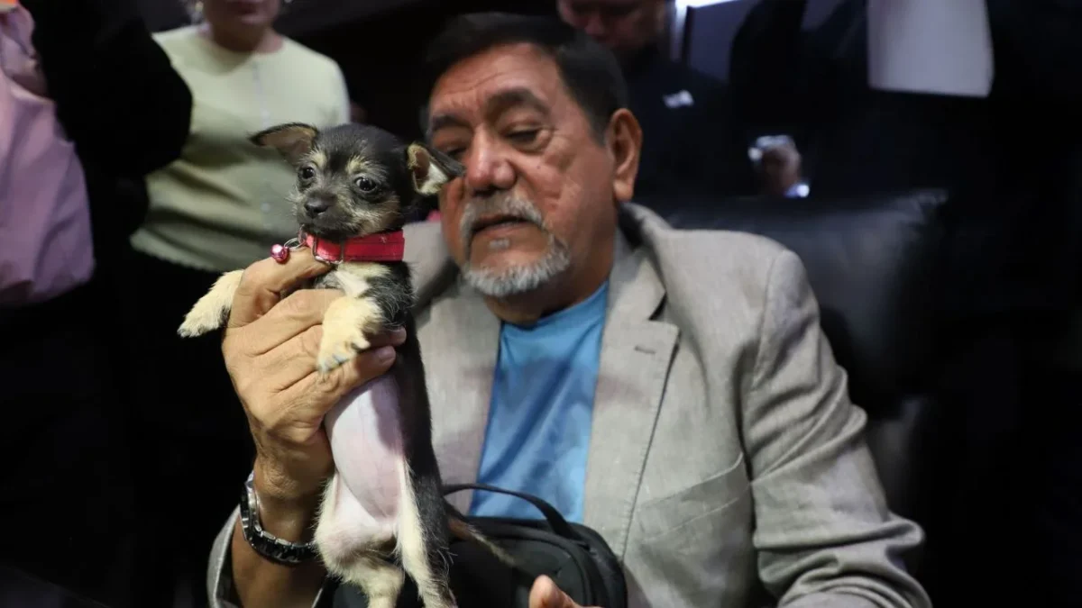 Félix Salgado confirmó que las reglas antinepotismo de Morena lo dejaron fuera de la contienda por la gubernatura de Guerrero en 2017.