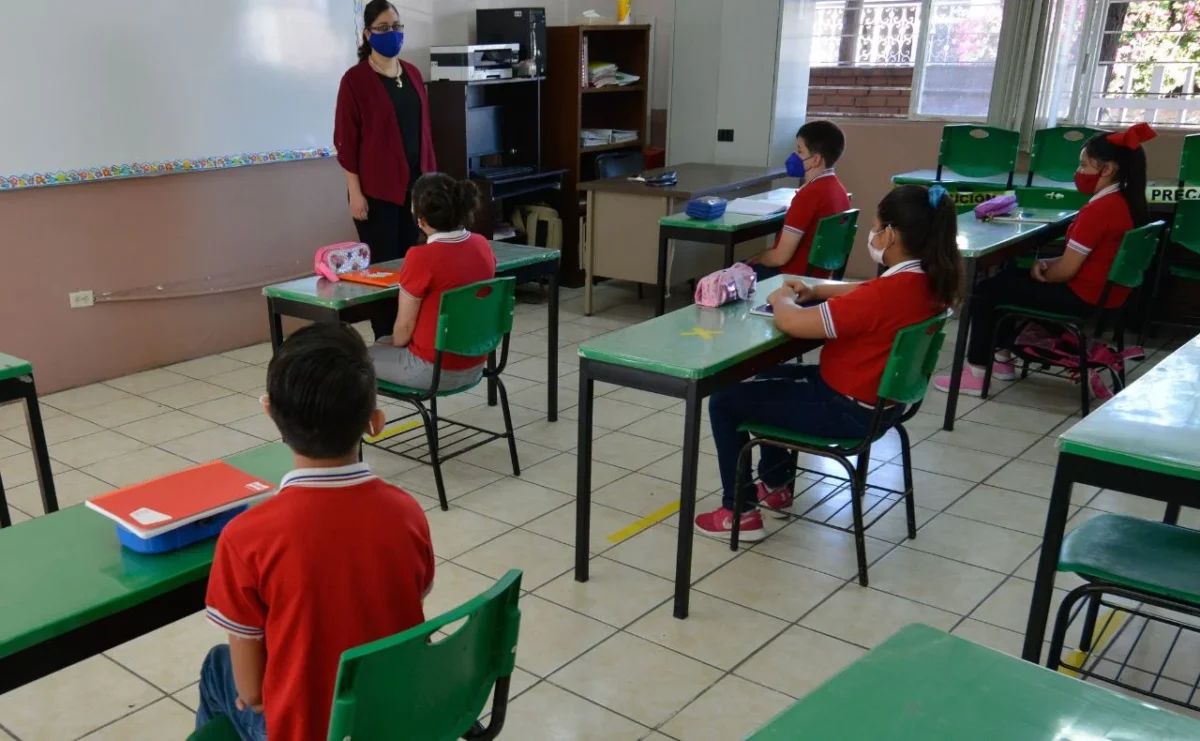 celulares en escuelas