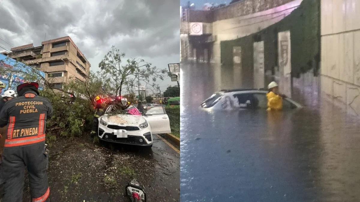 En la zona metropolitana de Puebla se registró una tormenta que dejó inundaciones, caída de árboles y la muerte de una persona.