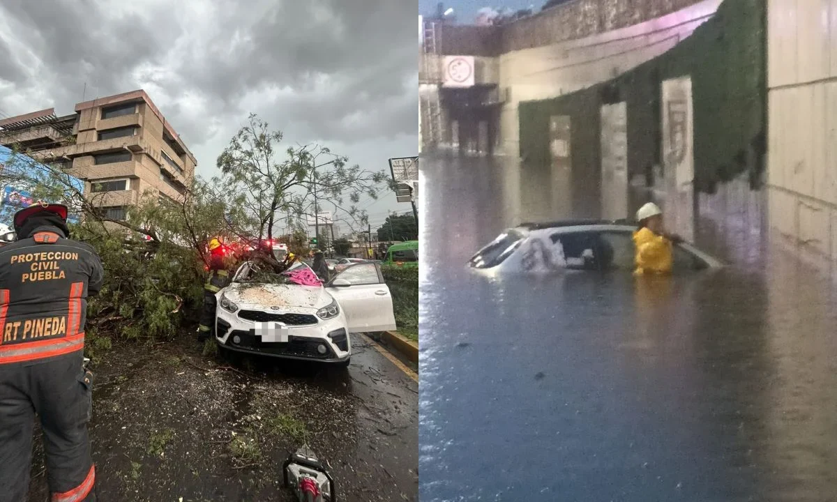 En la zona metropolitana de Puebla se registró una tormenta que dejó inundaciones, caída de árboles y la muerte de una persona.
