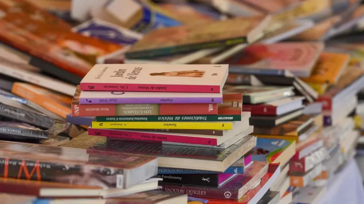 La literatura también tiene personajes que representan a la comunidad incel.