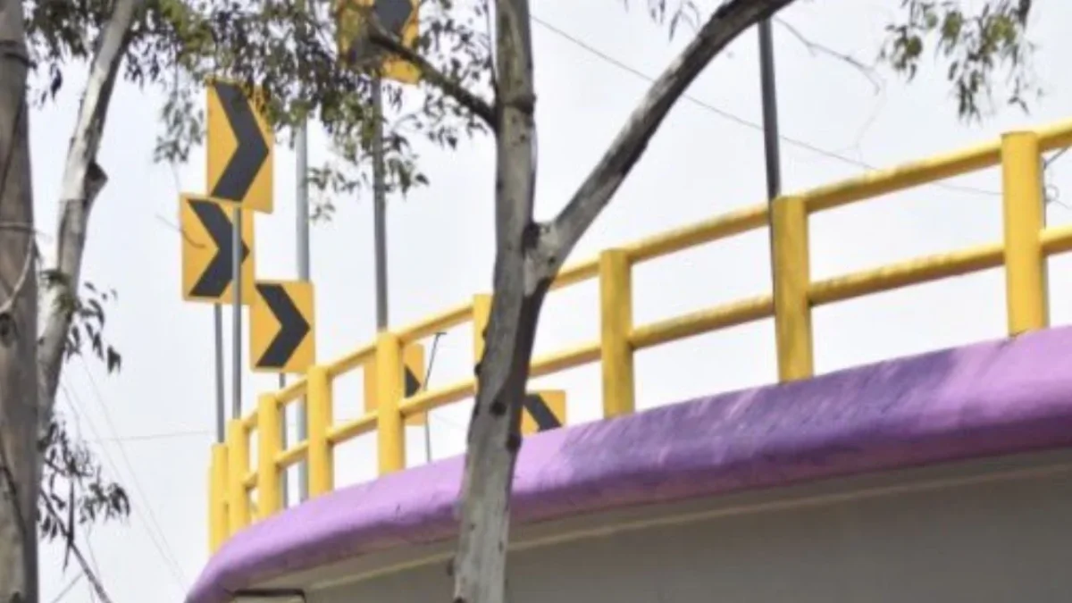 La dirigencia de Morena en la CDMX calificó como una discusión artificial las críticas por las pintas de morado de la infraestructura urbana.