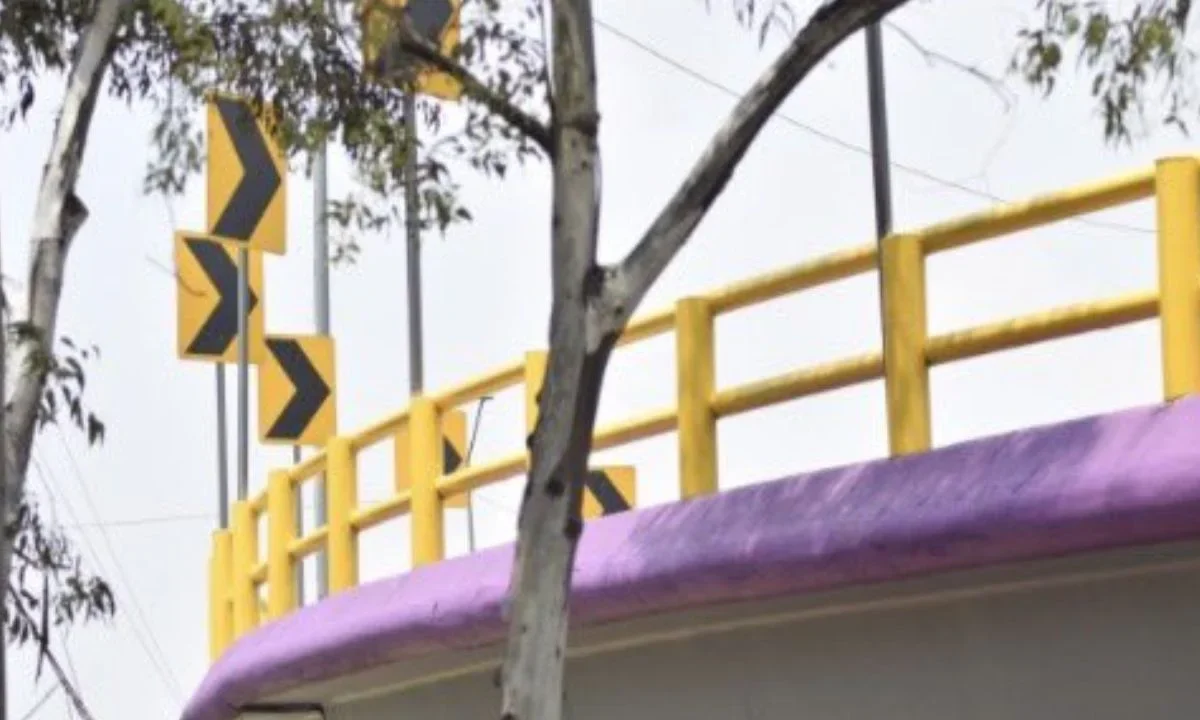 La dirigencia de Morena en la CDMX calificó como una discusión artificial las críticas por las pintas de morado de la infraestructura urbana.