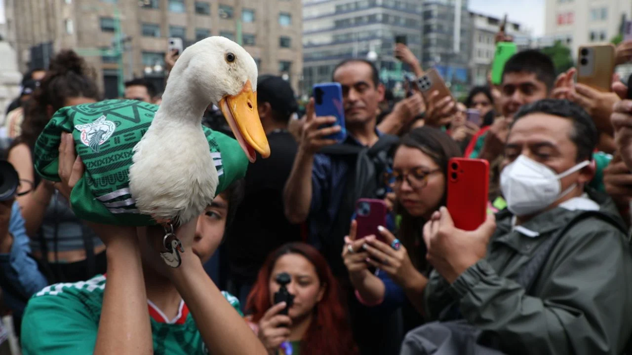 Familia del Pato Merlín registra su imagen, busca evitar comercialización en otros países