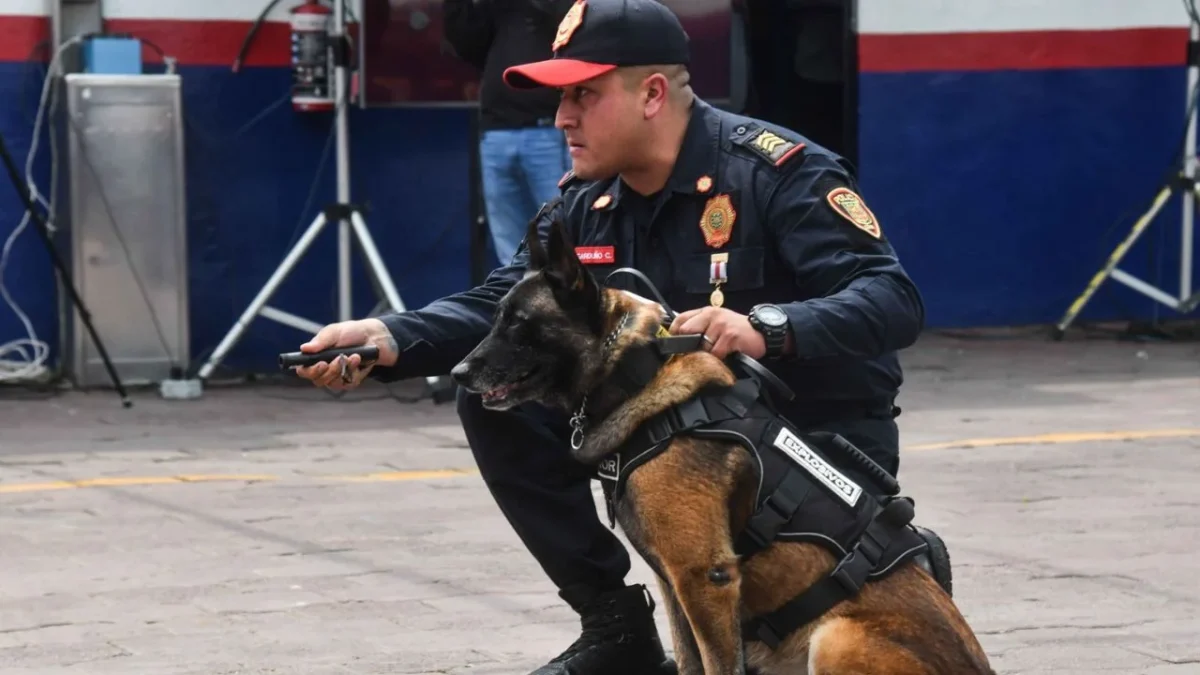 Elementos de la Policía Auxiliar y Policía Bancaria e Industrial (PBI) podrán aplicar multas de tránsito en siete alcaldías de la CDMX.