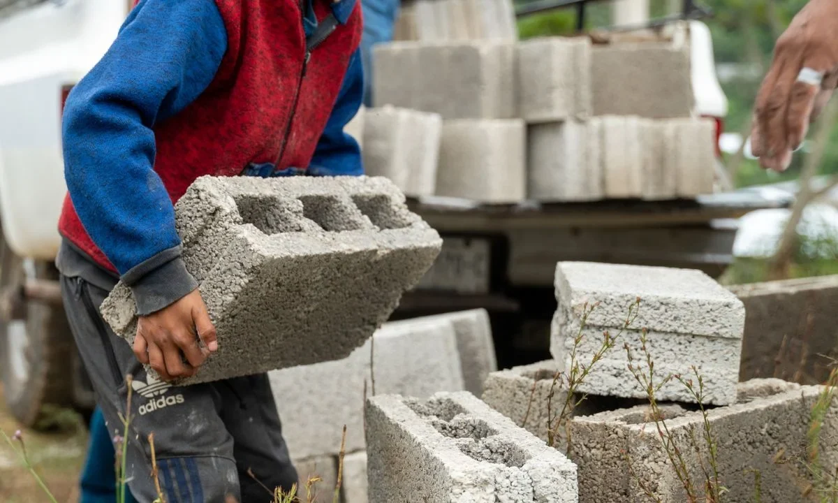 Explotación infantil: El sector agrícola concentra el mayor número de niños trabajadores, enfrentando lesiones, insolación y más.