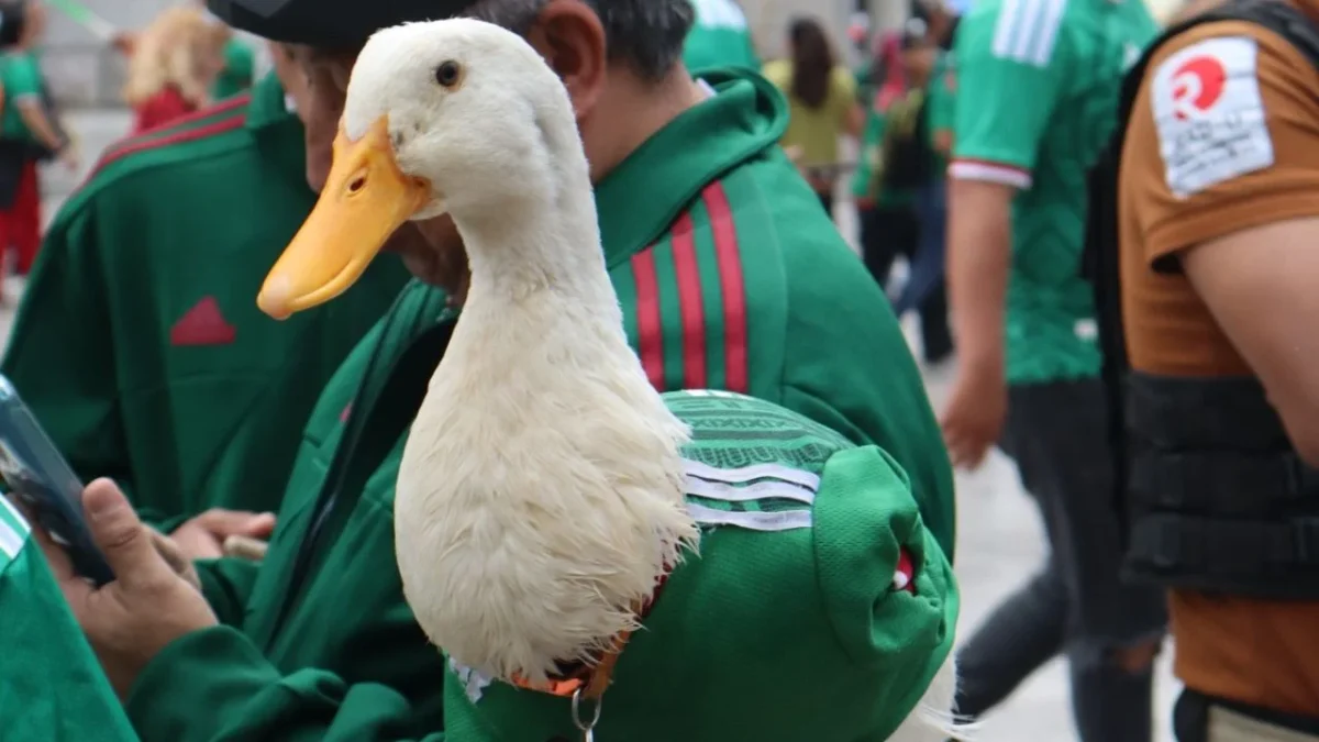 El Pato Merlín y su familia vivirán la experiencia mundialista desde el Estadio Ciudad de México gracias al empresario Ricardo Salinas.