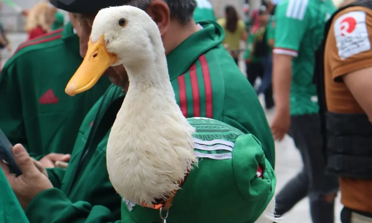 El Pato Merlín y su familia vivirán la experiencia mundialista desde el Estadio Ciudad de México gracias al empresario Ricardo Salinas.