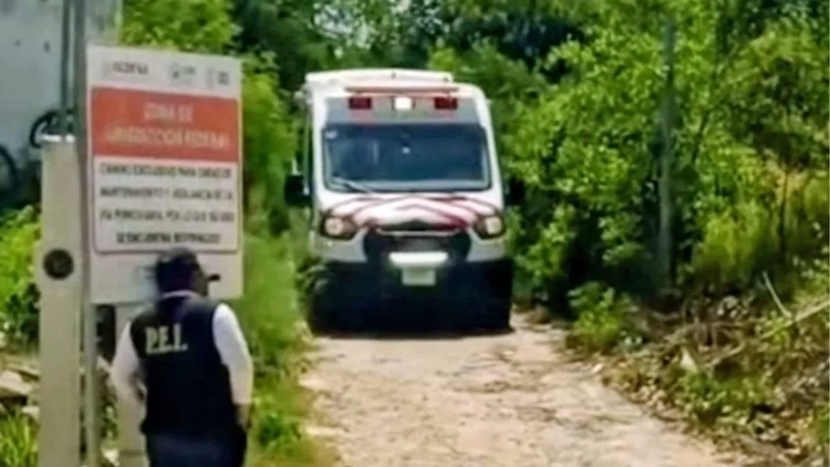 Según los primeros datos, el hombre caminaba sobre las vías del Tren Maya al momento del accidente, registrado en Yucatán.