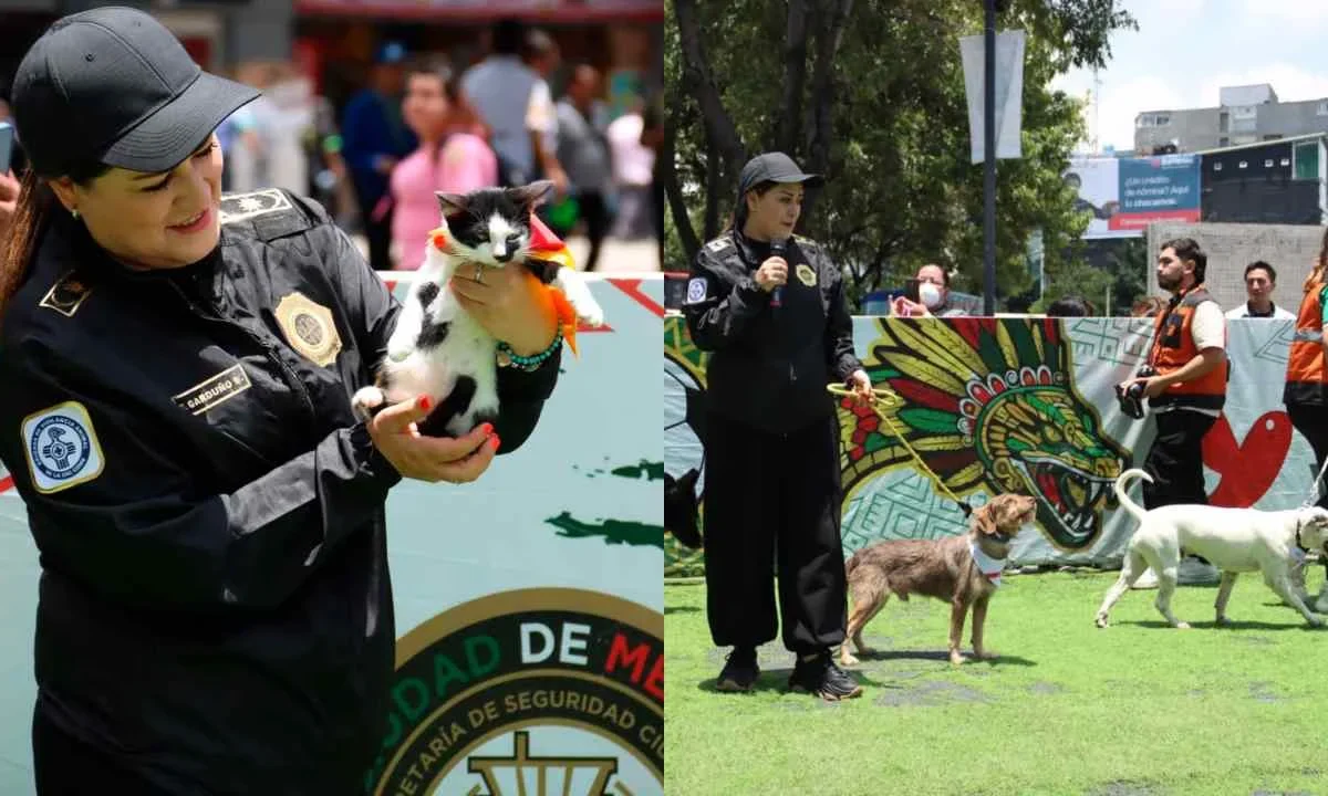 15 perros y gatos hallan hogar en jornada de adopción en la CDMX.