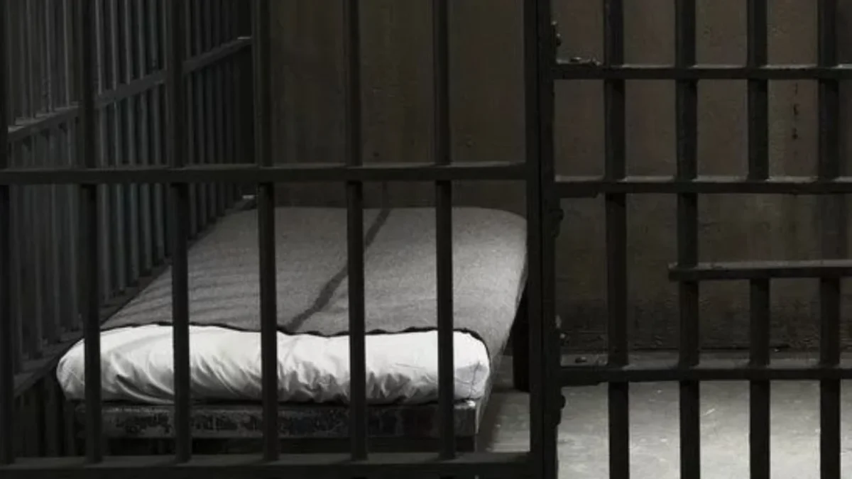 A proceso, hombre investigado desde 2022 por tener material relacionado con abuso infantil